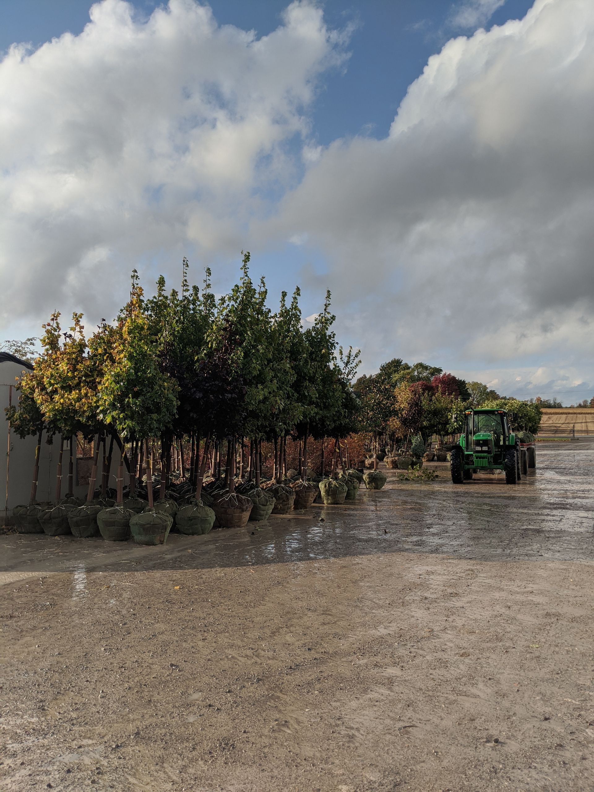 A greenhouse filled with lots of potted plants