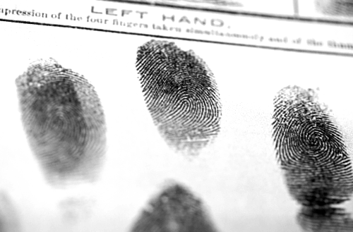 A black and white photo of three fingerprints on a piece of paper.