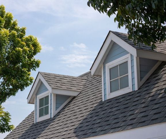 Roof shingles with garret house on top of the house among a lot of trees