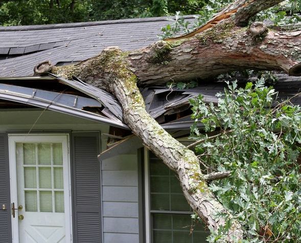 Big Tree Tears House Roof Assunder During a Storm