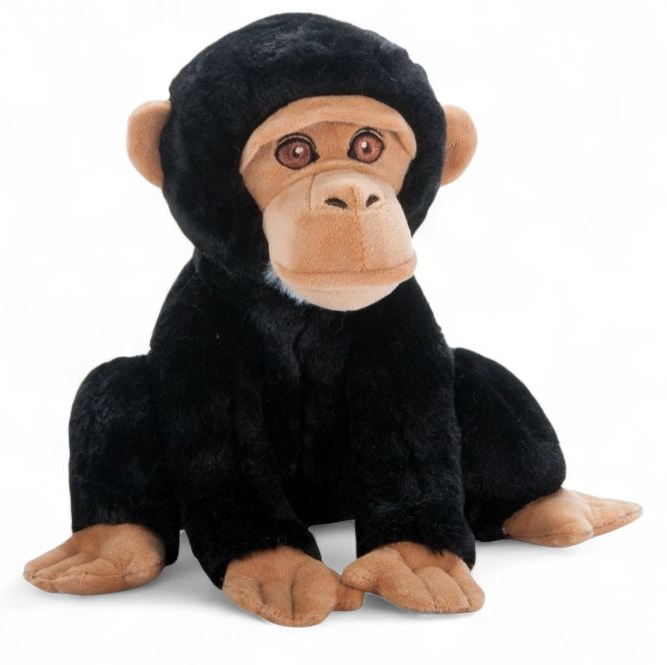 PZ Chimp