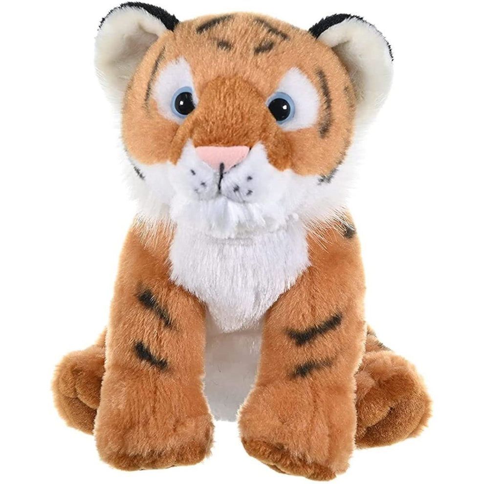 CK Tiger Cub