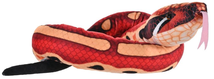 Blood Python