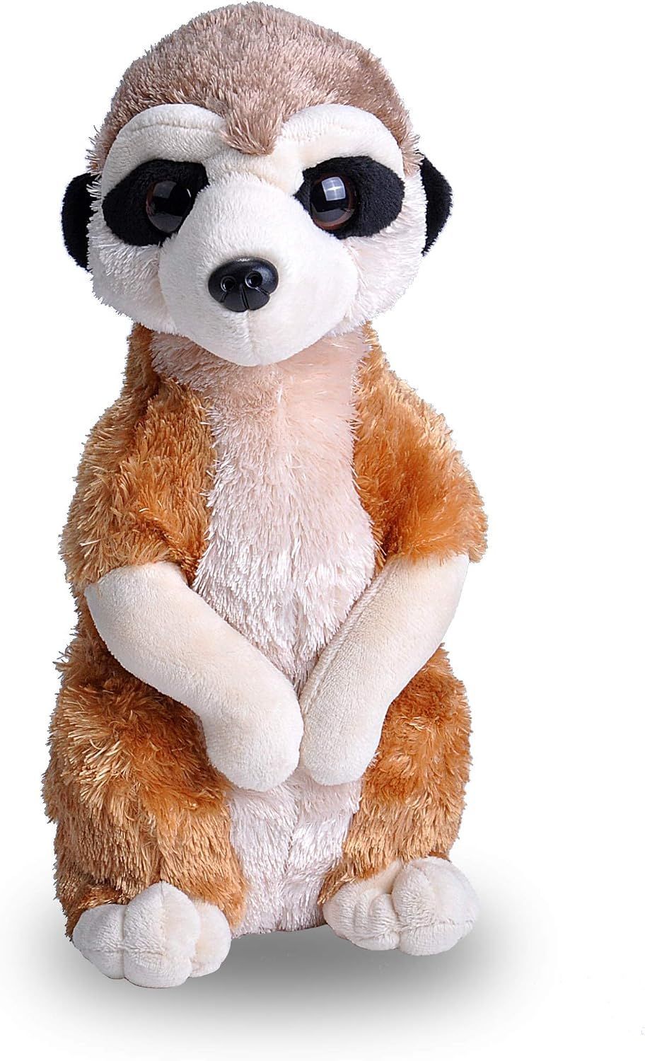 Meerkat