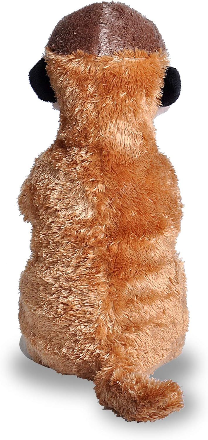 Meerkat