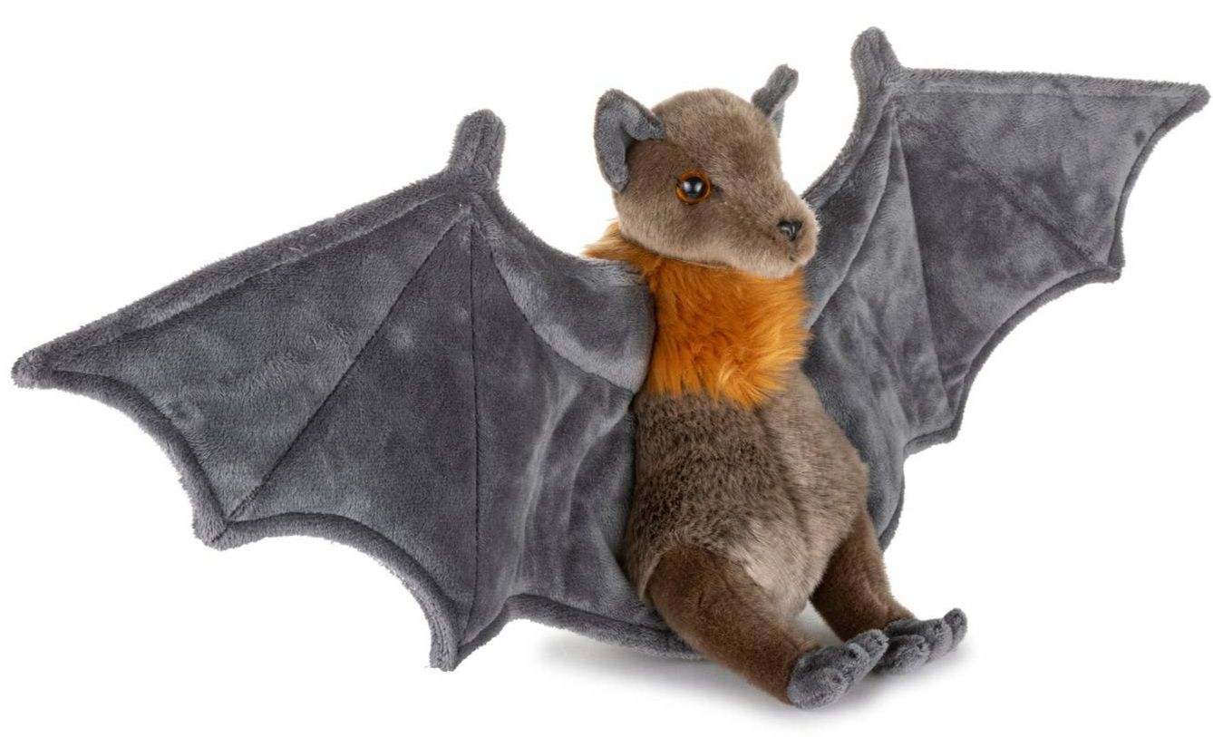 Fruit Bat