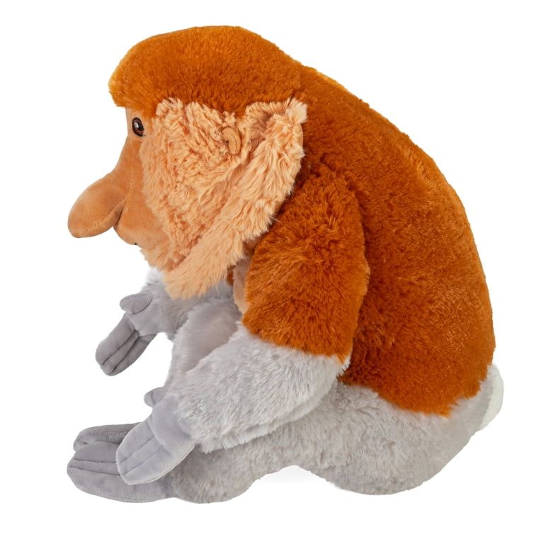 Proboscis Monkey
