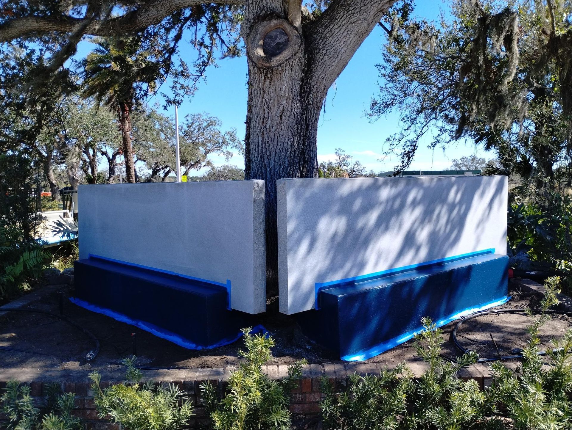 A tree with a blue and white fence around it