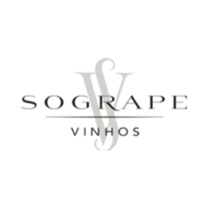 Um logotipo para vinhos de uva é mostrado em um fundo branco
