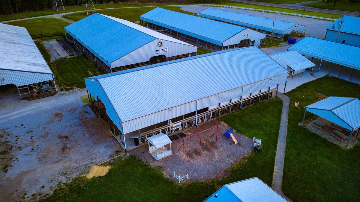Aerial view of blue-roofed farm buildings and barns arranged around a gravel yard and grassy fields.