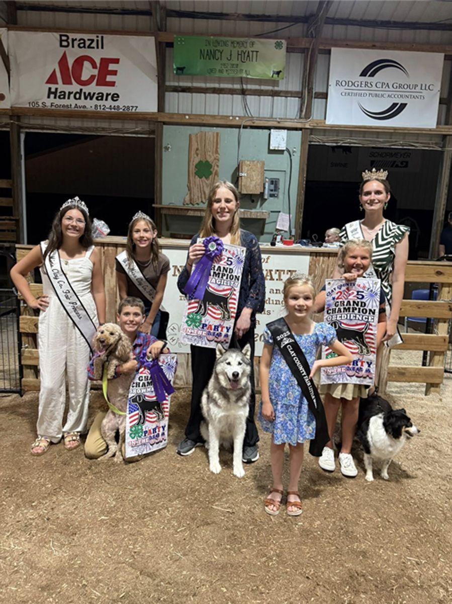 Dog Obedience Show