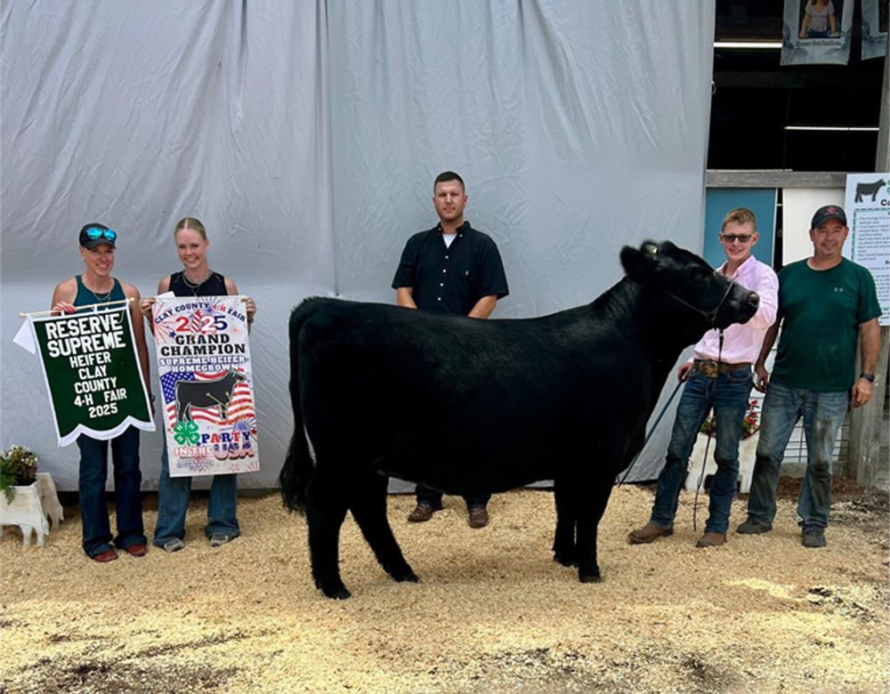 Black bull at a livestock show, flanked by handlers and judges against a white backdrop.