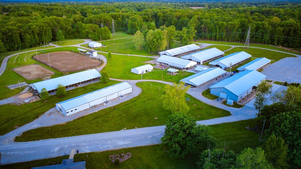 Aerial view of a rural farm with long white buildings, paved roads, and surrounding green fields and forest.