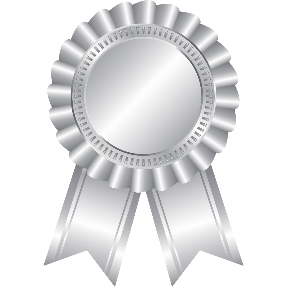 Silver award ribbon rosette with two hanging streamers