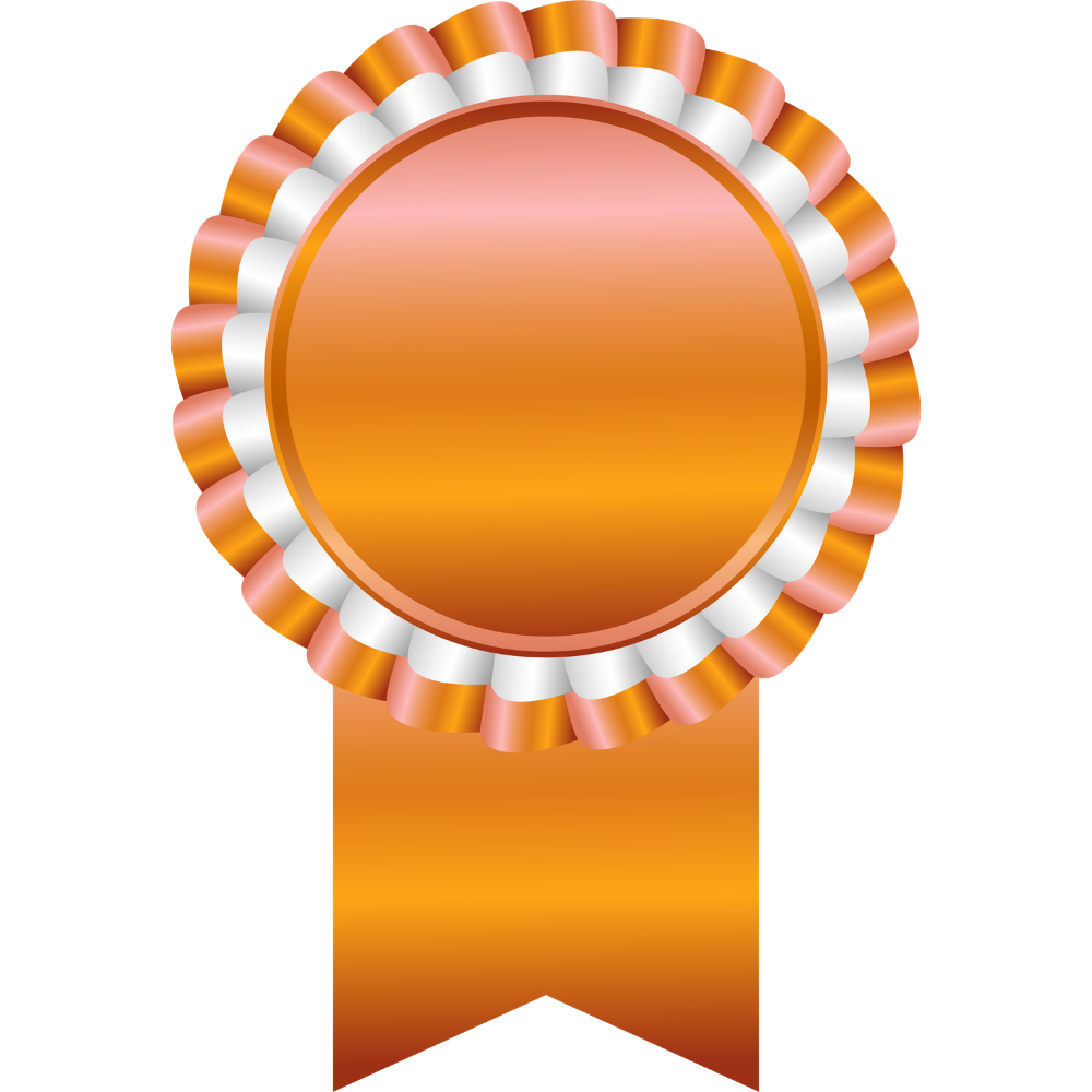 Orange award ribbon medal with a blank center and hanging tail