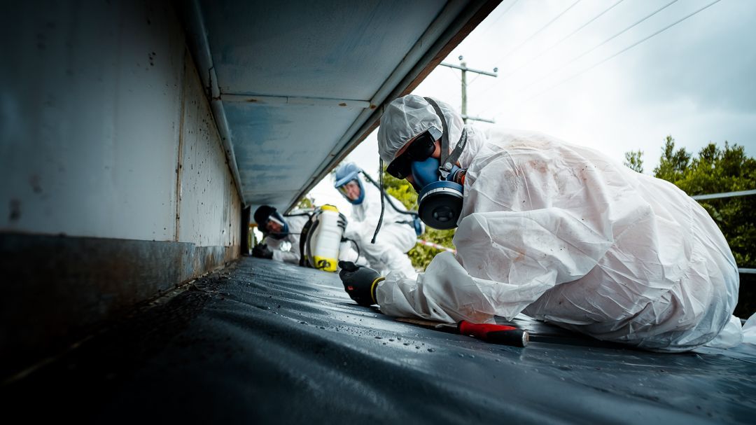 A Large Brick House with A Lush Green Lawn in Front of It — Asbestos Risk Removal In Rockhampton, QLD