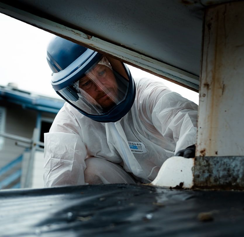 A Man in A White Suit Is Standing on Top of A Roof — Asbestos Risk Removal In Rockhampton, QLD