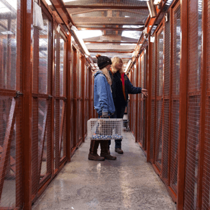 Two women walking through the cattery