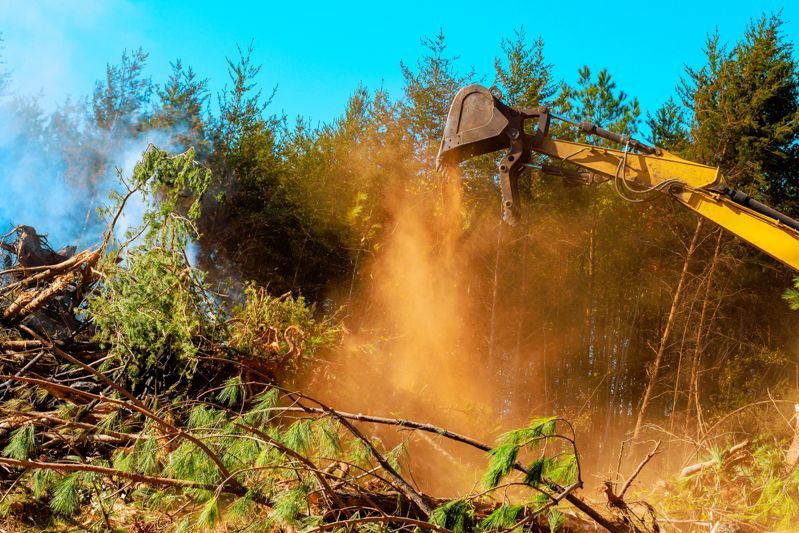 Land clearing
