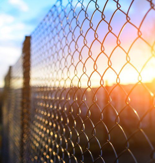 Fence With Metal Grid — Tampa, FL — Keeler Fence