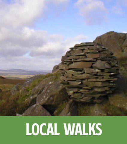 Walks in the Crocketford area