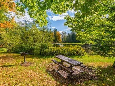 Picnic table and grill in a park, with trees, autumn foliage, and a pond in the background.
