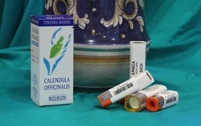 calendula officinalis