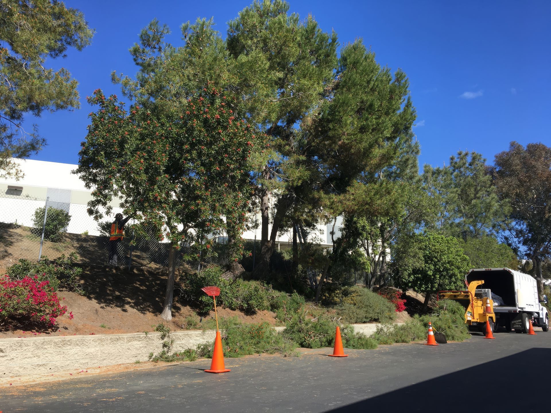 L6 Outdoor Services Gallery