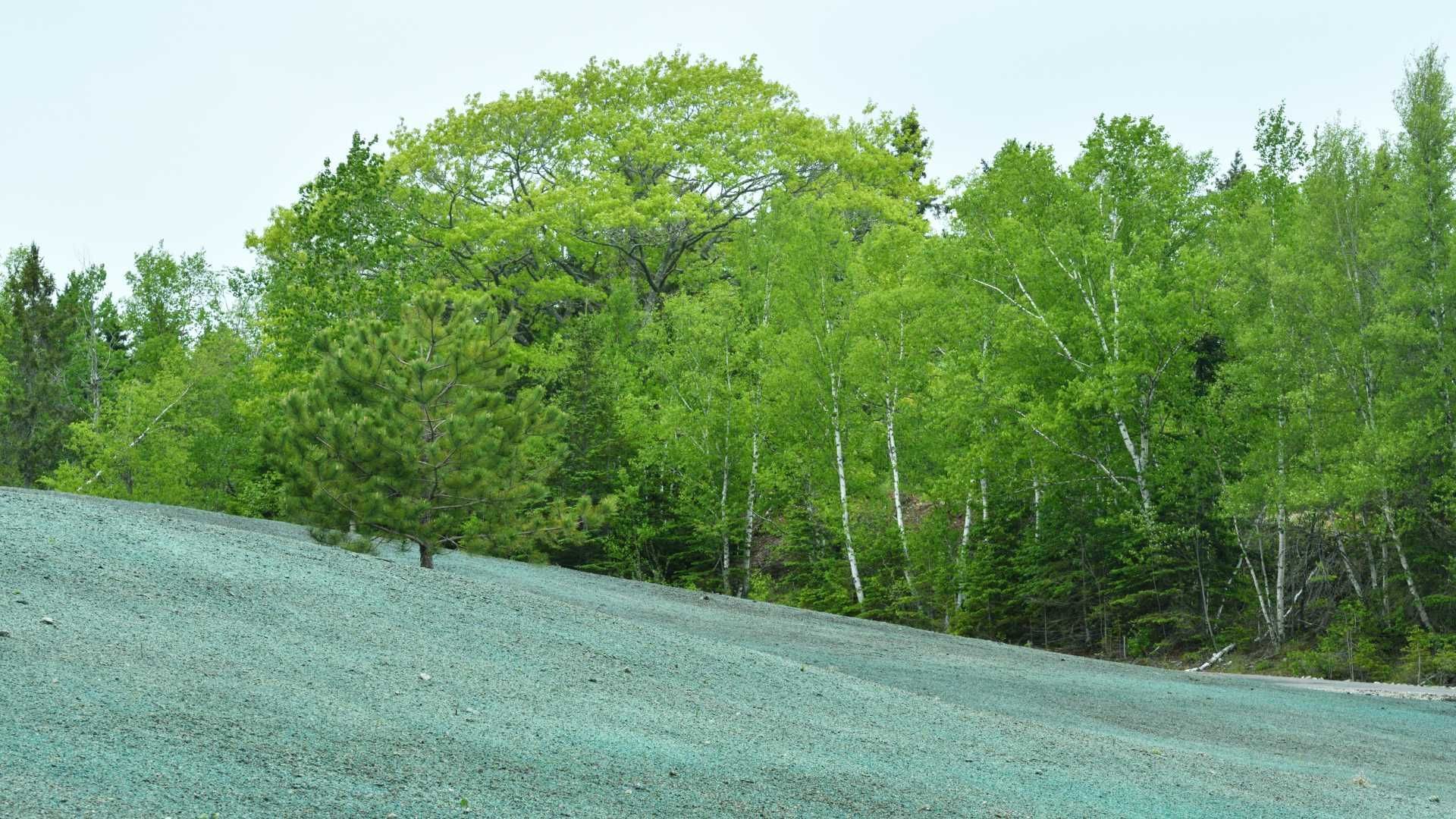 L6 Outdoor Services Gallery