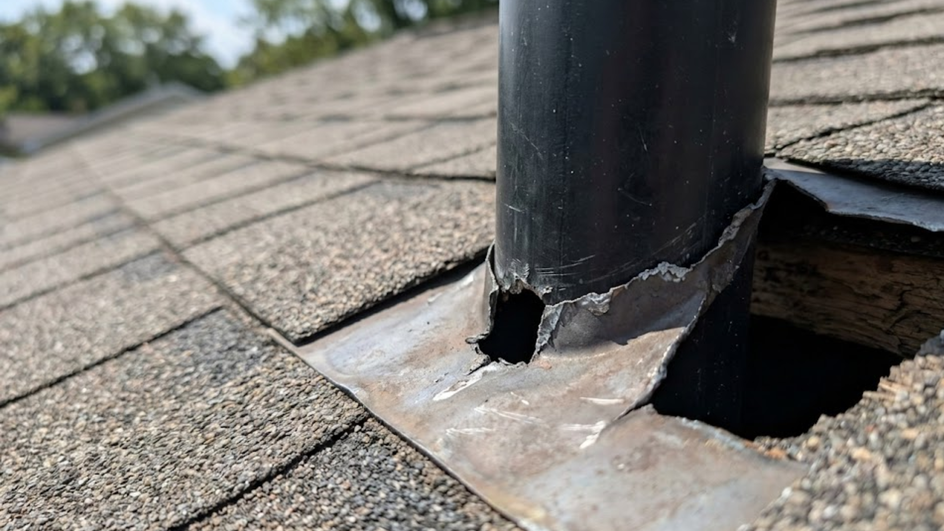 rodent control Fort Worth
