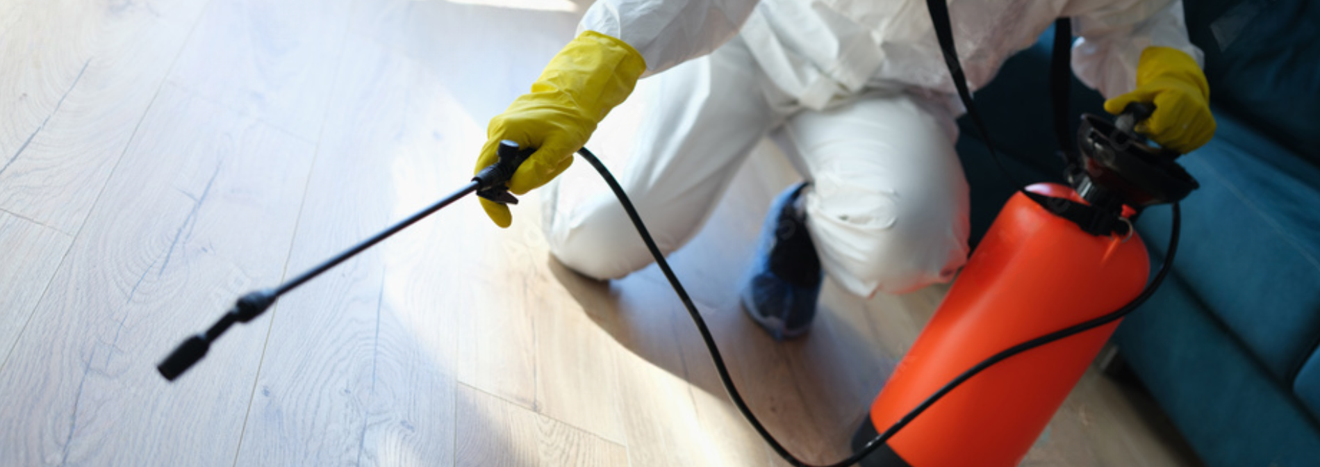 rodent control fort worth