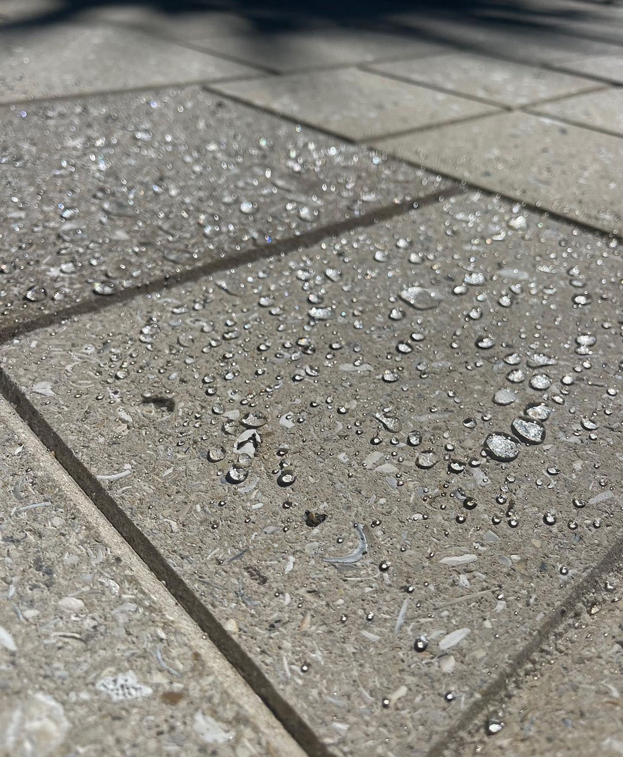 Shellock paver sealing in sarasota