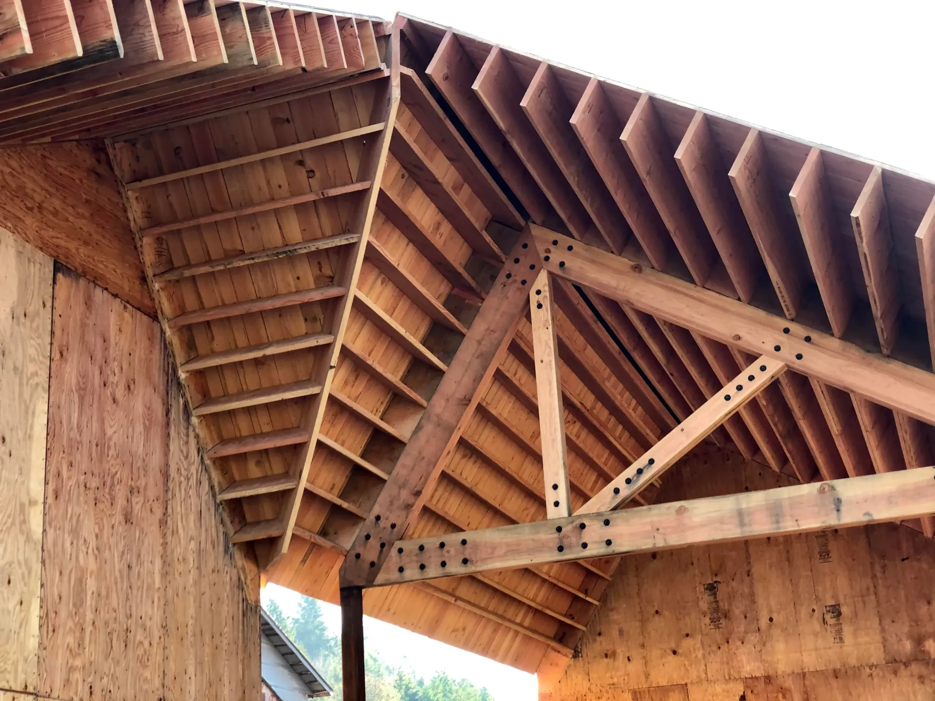 Wooden roof construction showing rafters, trusses, and sheathing.
