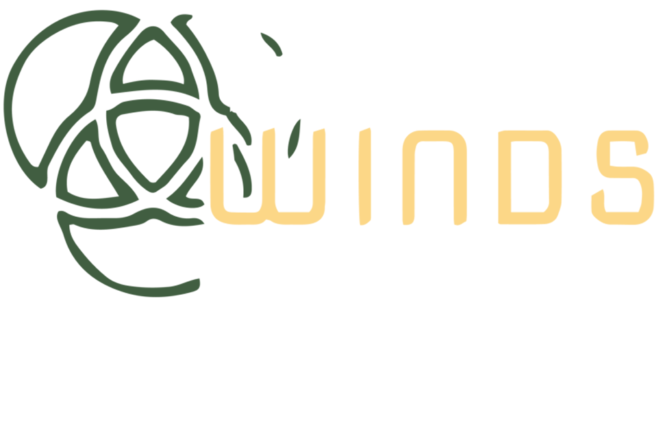 Trade Winds Construction Trade Winds Construction
