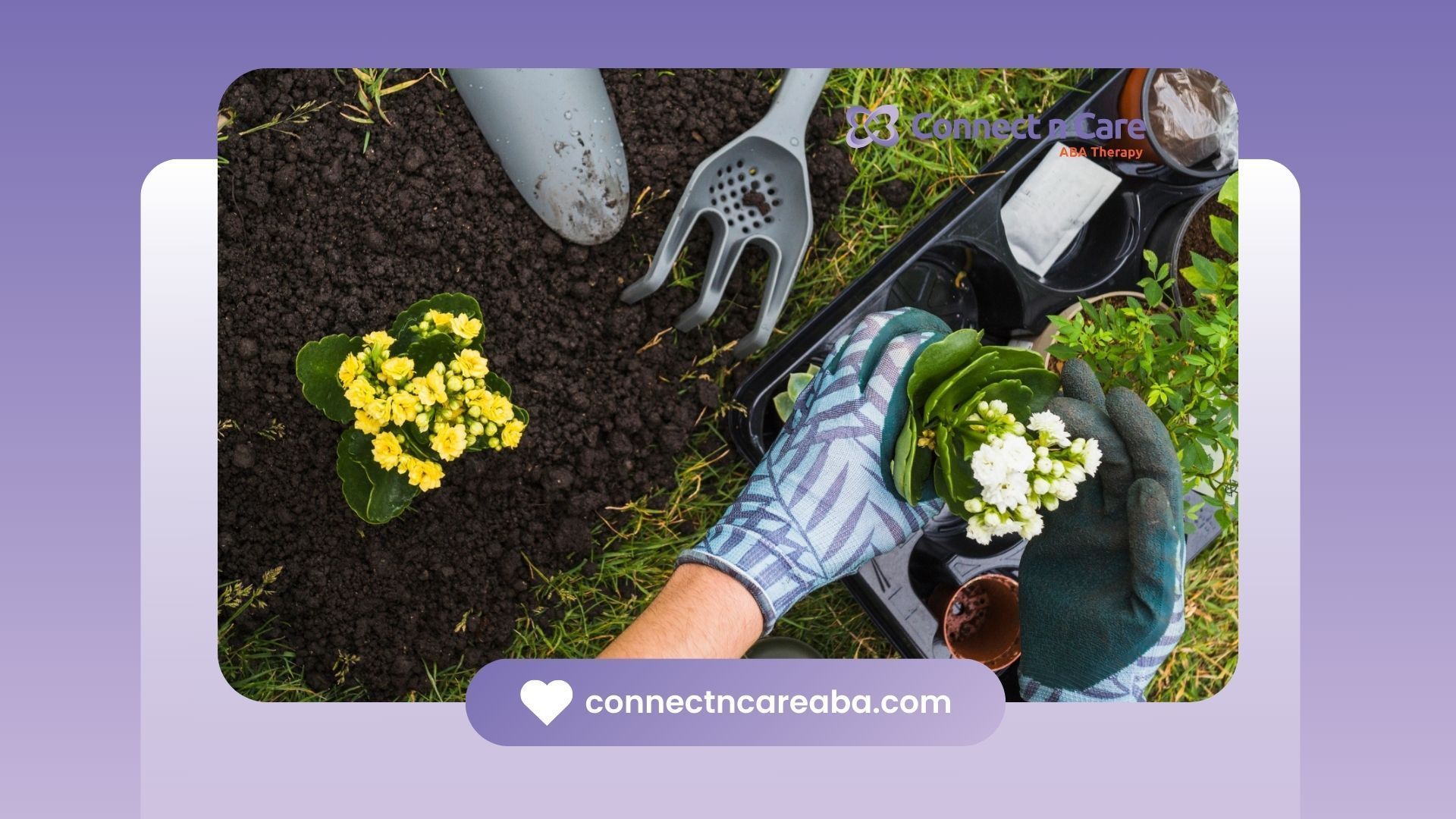 10 Fun Activities For Autistic Adults In North Carolina 10-fun-activities-for-autistic-adults-in-north-carolina