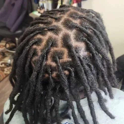 The back of a person 's head with dreadlocks.