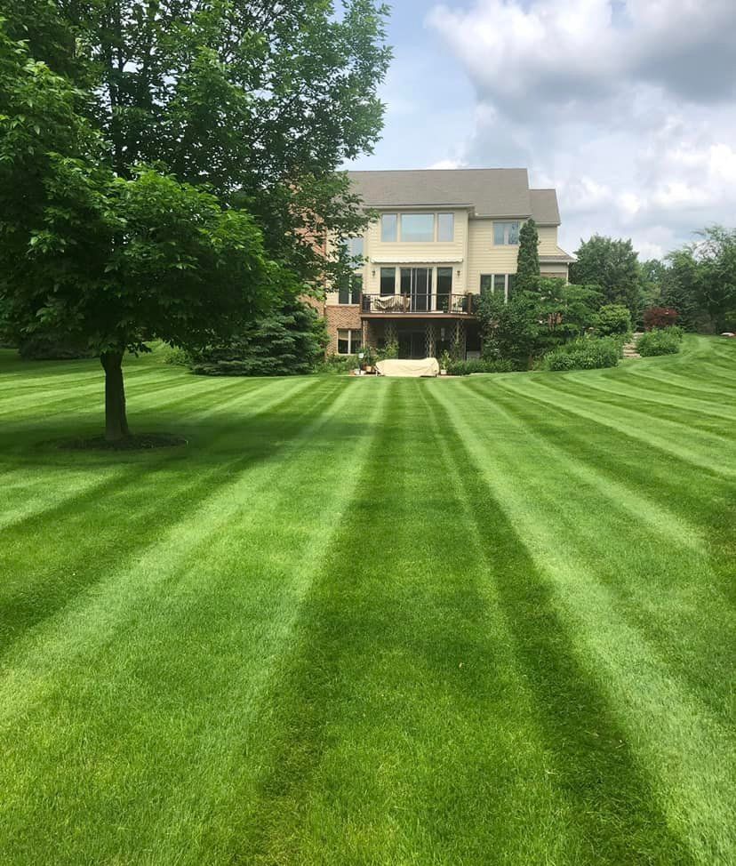A vast green lawn with precise, light and dark striped mowing patterns leading toward a large house with a rear deck.