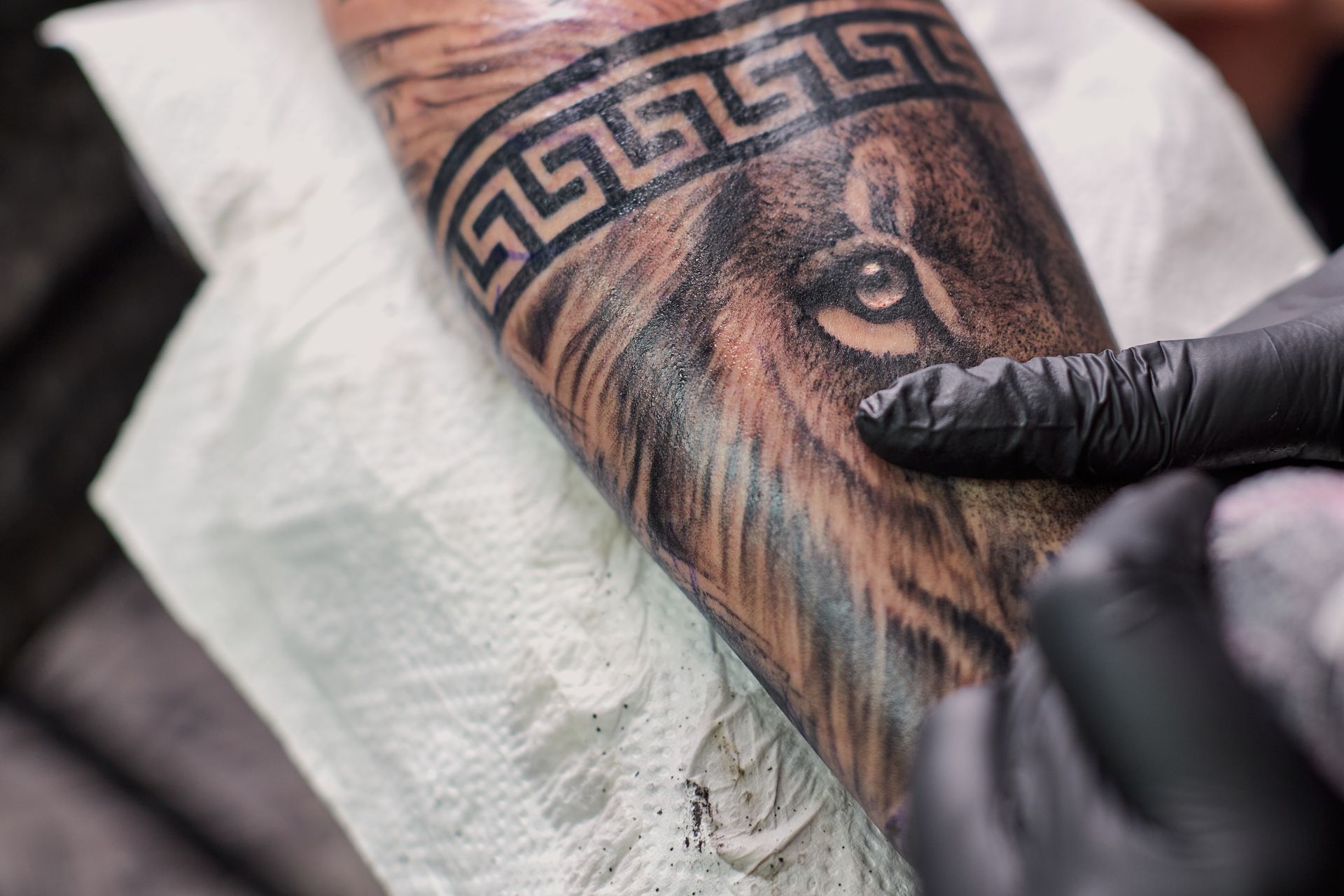 Check out some of our high-quality work for yourself.