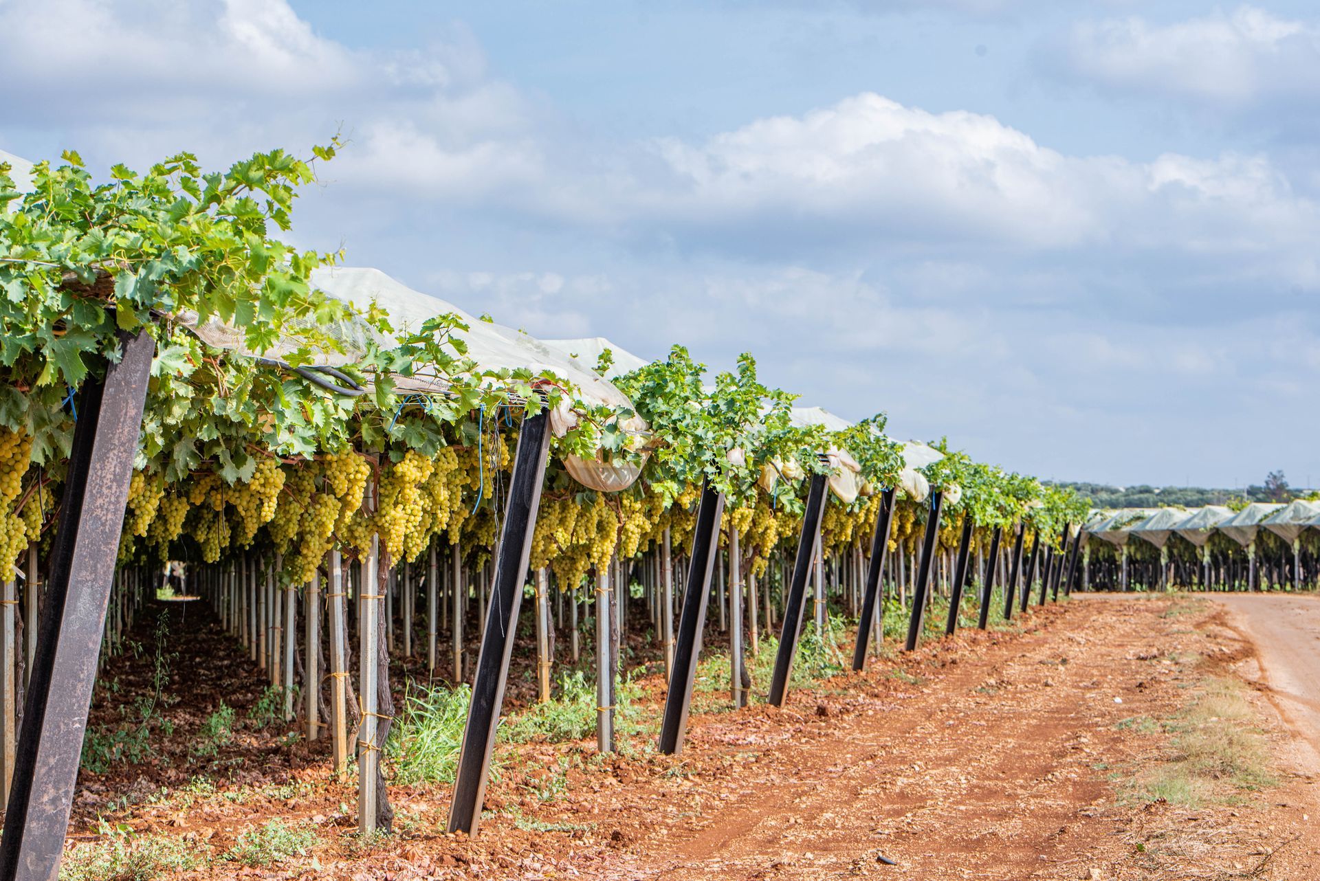 Smaltimento plastica