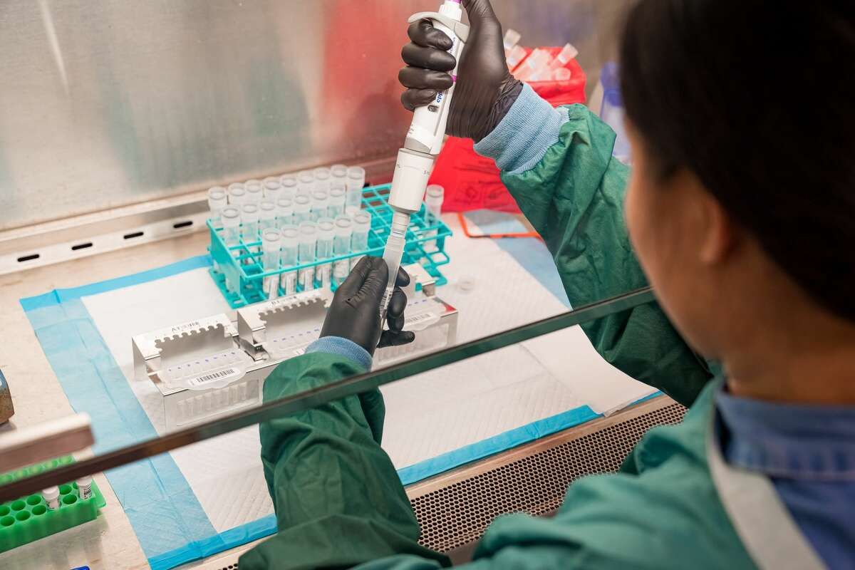 Person in lab coat and gloves using a pipette in a biosafety cabinet, working with containers of liquid.