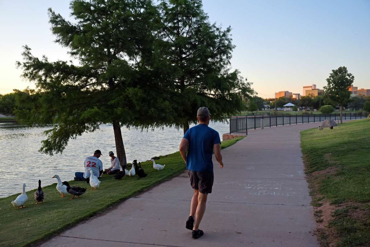 A person jogs along a paved path beside a lake, ducks, and trees.