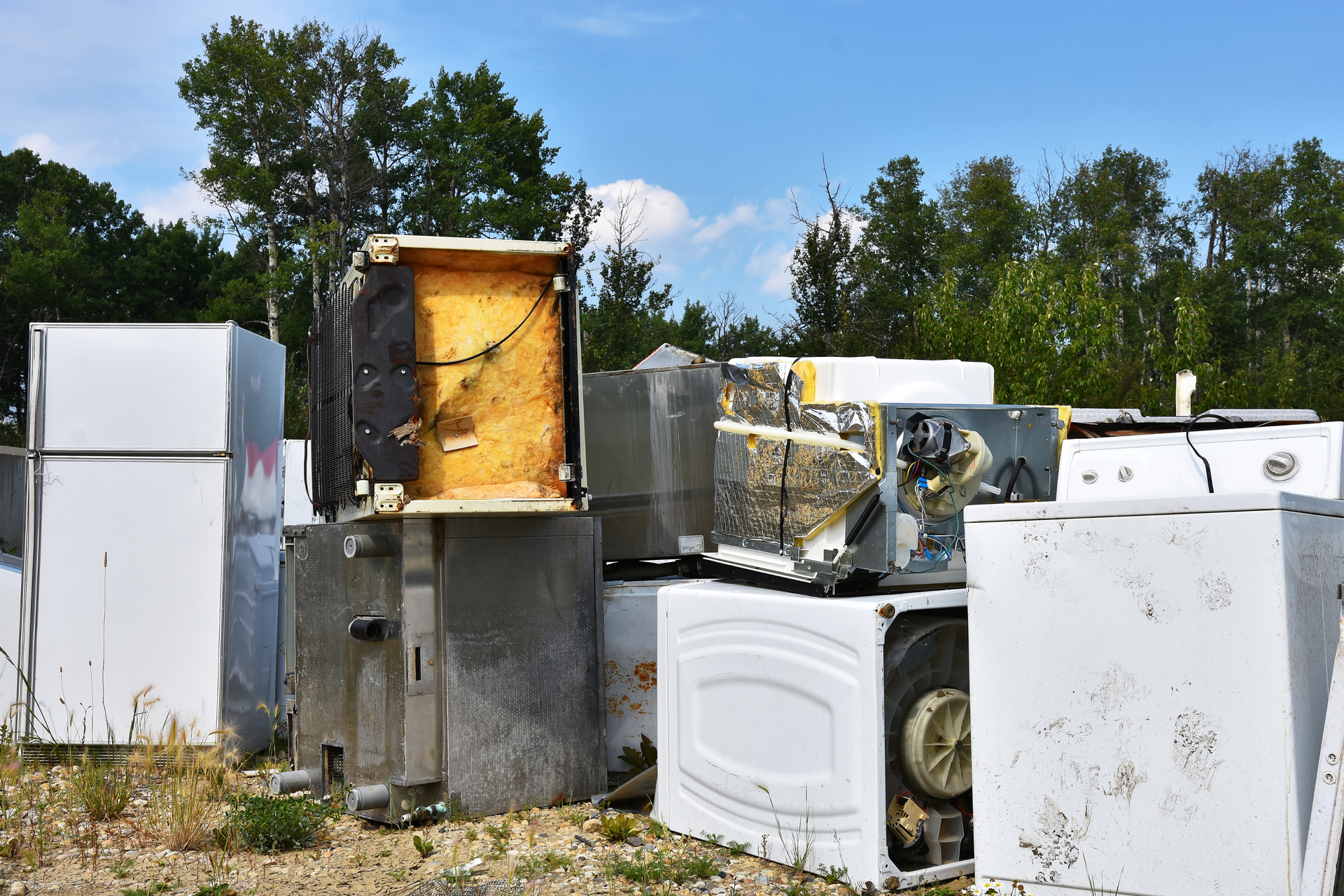 dumpster+rental+company+in+bullhead+city+az