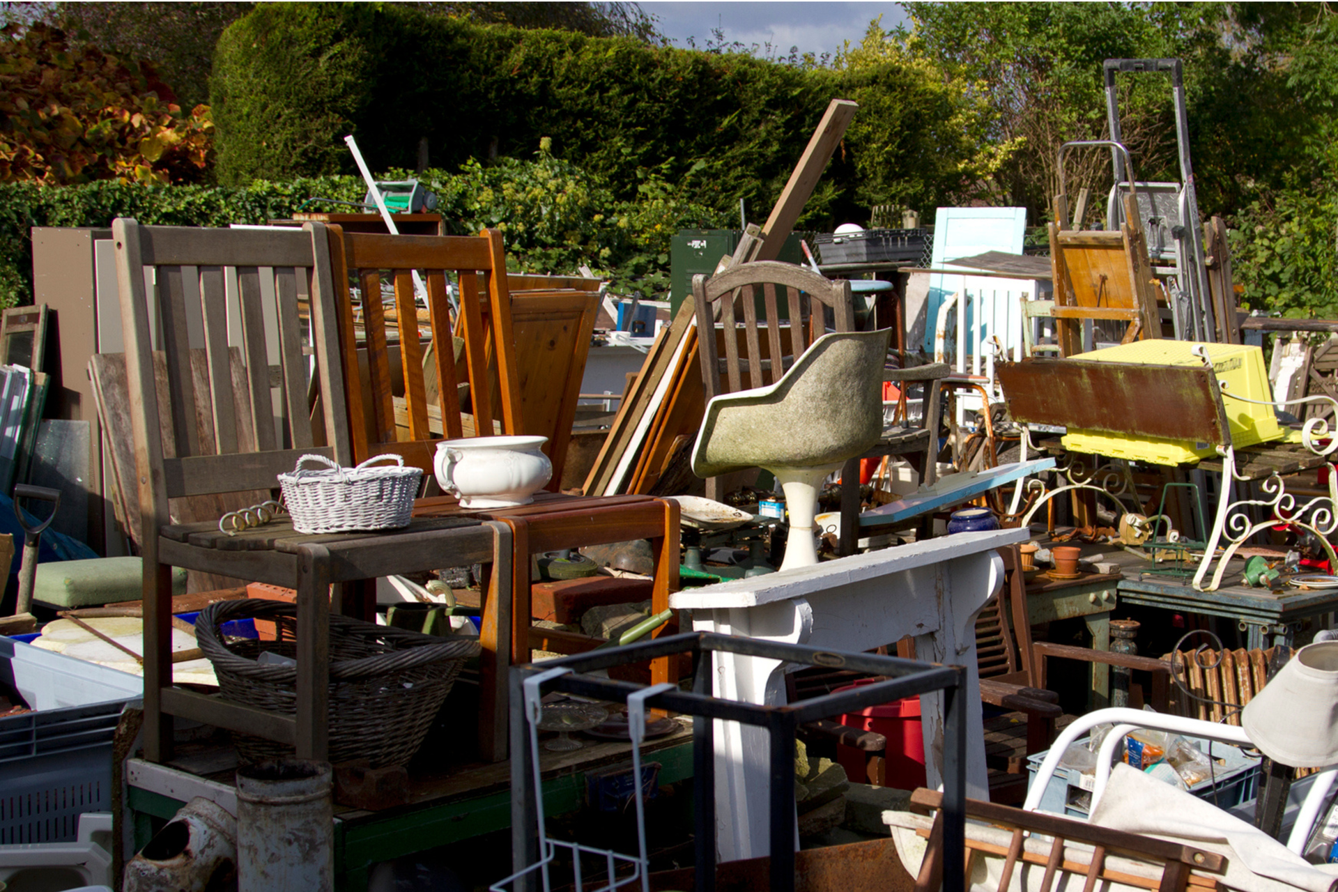 dumpster+rentals+bullhead+city+az