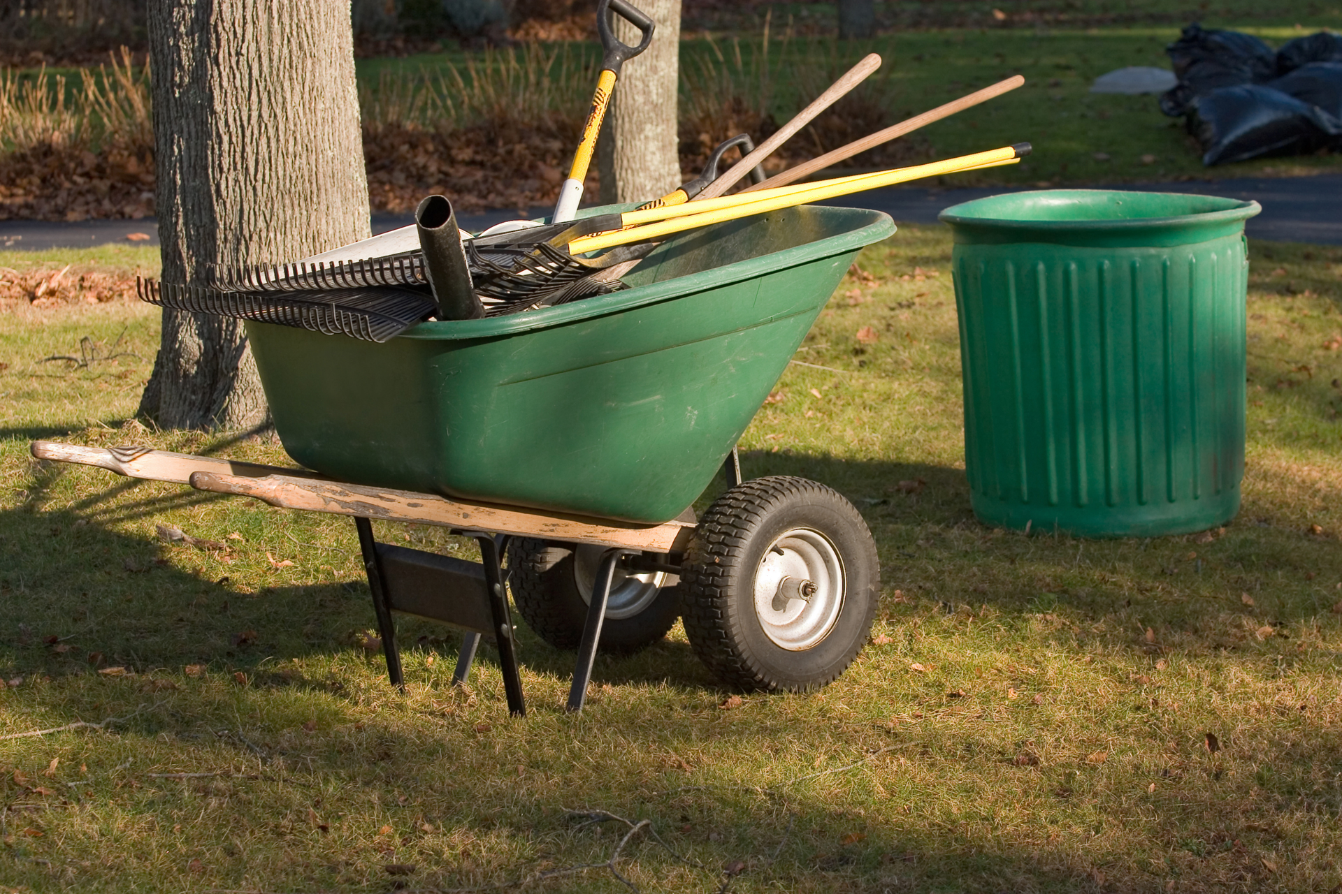 dumpster+rentals+bullhead+city+az