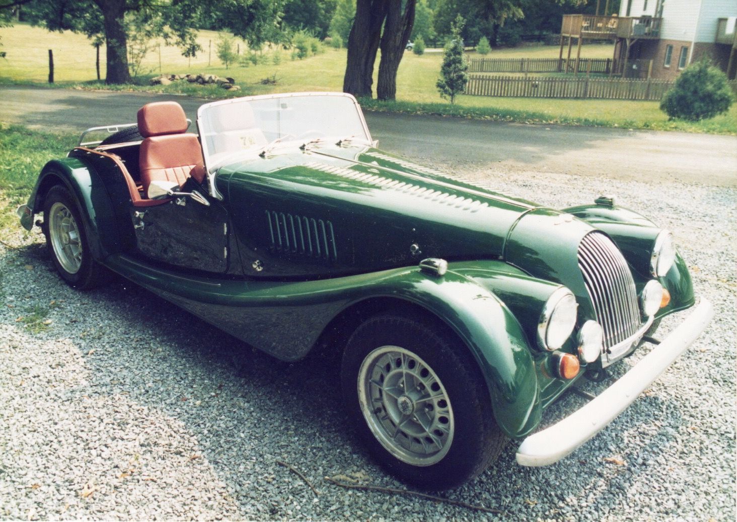 Light Green Morgan