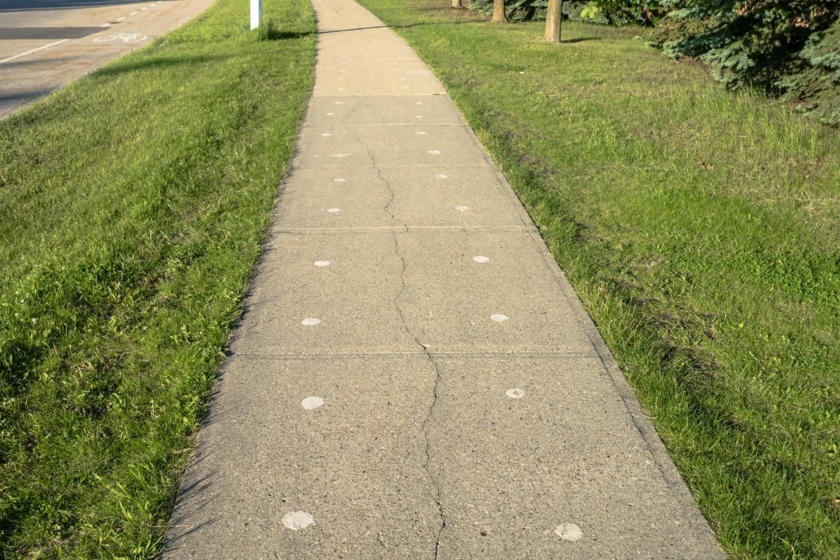 A sidewalk with white dots on it is surrounded by grass.