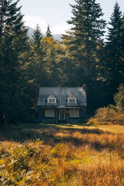 Cabane dans une prairie ensoleillée, entourée de grands arbres verts. Toit gris, fenêtres blanches, porte marron.