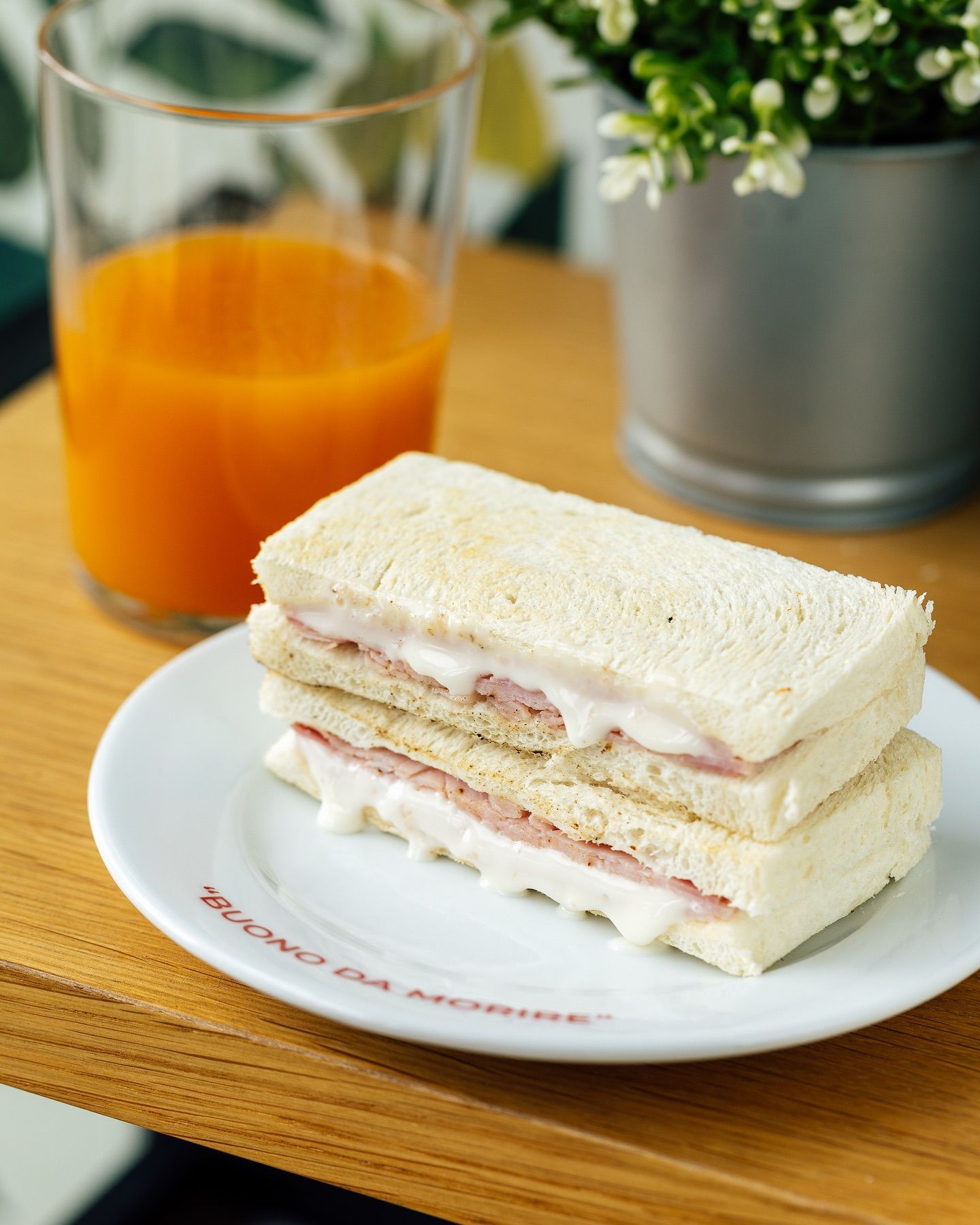 Panino con prosciutto e formaggio su un piatto con succo d'arancia, accanto a una pianta su una superficie di legno.