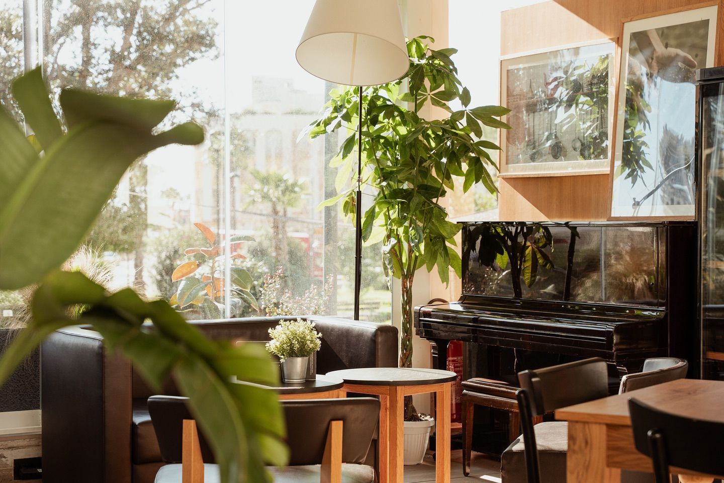 Accogliente bar con pianoforte, posti a sedere, piante e ampie finestre che lasciano entrare luce naturale.