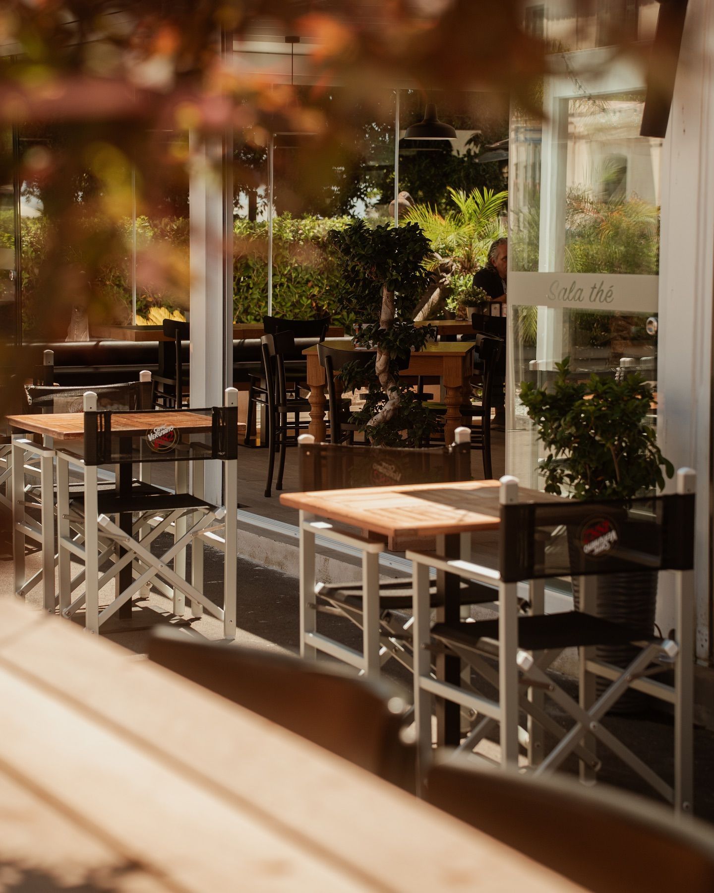 Bar all'aperto con tavoli, sedie e vetrate. Alberi in primo piano, luci e ombre.